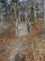 Image file: photo12.jpg