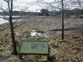 Image file: photo13.jpg
