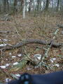 Image file: photo16.jpg
