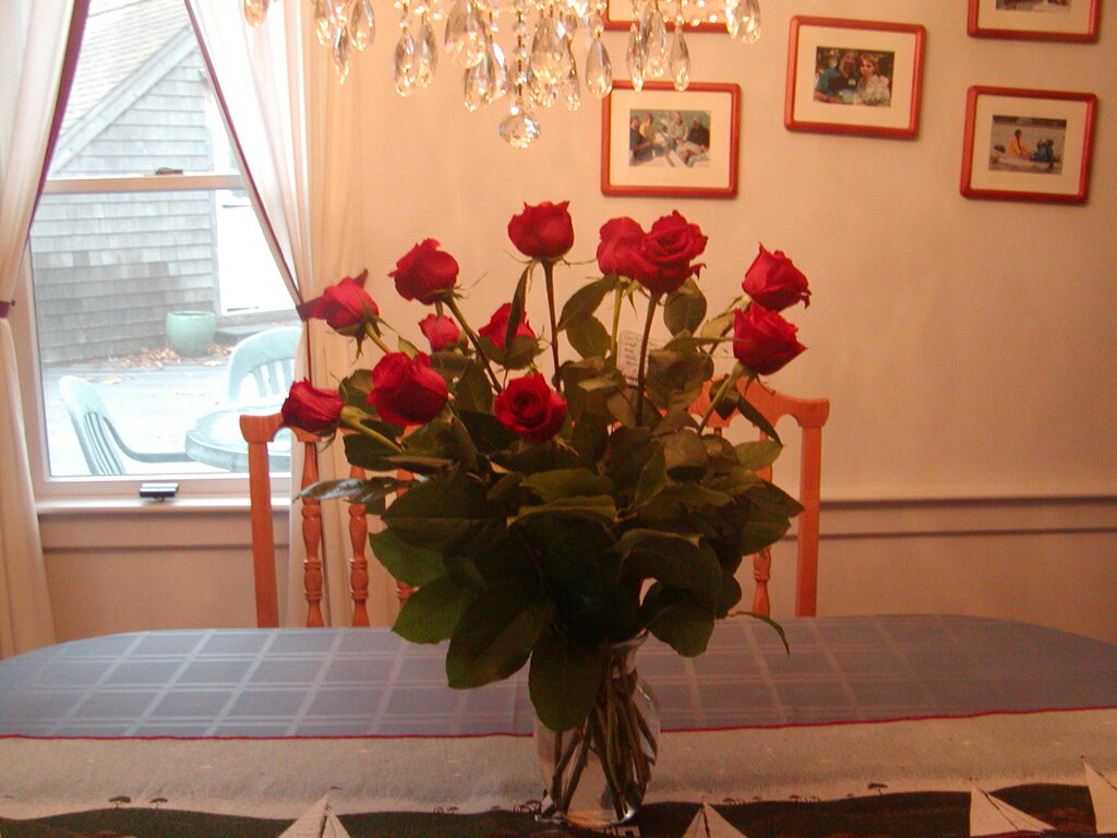 No description provided for: /2010/10-12/1109-bday-flowers/photo01.html