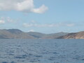 Image file: _1/photo08.jpg