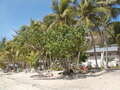Image file: _2/photo27.jpg