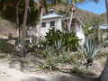 Image file: _2/photo31.jpg