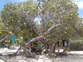 Image file: _1/photo15.jpg