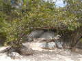 Image file: _1/photo19.jpg