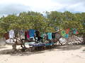 Image file: _1/photo21.jpg