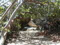 Image file: _2/photo37.jpg