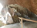 Image file: _2/photo38.jpg