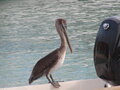 Image file: _2/photo18.jpg