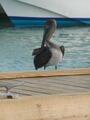 Image file: _2/photo23.jpg