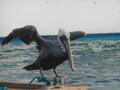 Image file: _2/photo25.jpg