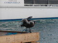 Image file: _2/photo26.jpg