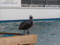 Image file: _2/photo27.jpg