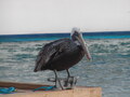 Image file: _2/photo28.jpg