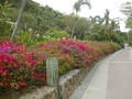 Image file: _1/photo03.jpg