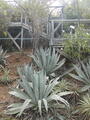 Image file: _1/photo06.jpg