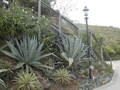 Image file: _1/photo07.jpg