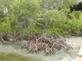 Image file: _1/photo11.jpg