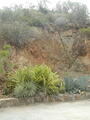 Image file: _1/photo13.jpg