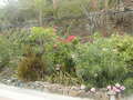 Image file: _1/photo14.jpg