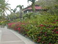 Image file: _1/photo15.jpg