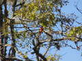 Image file: photo02.jpg