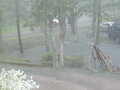 Image file: photo03.jpg