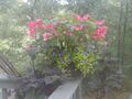 Image file: photo02.jpg