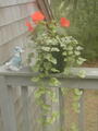 Image file: photo03.jpg