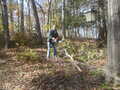 Image file: photo01.jpg
