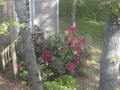 Image file: photo01.jpg