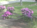 Image file: photo06.jpg