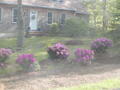 Image file: photo07.jpg