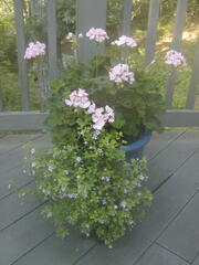 Image file: photo02.jpg