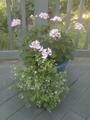 Image file: photo02.jpg