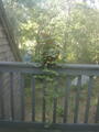Image file: photo06.jpg