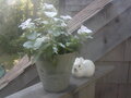 Image file: photo08.jpg