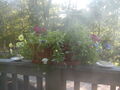 Image file: photo10.jpg