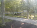 Image file: photo14.jpg
