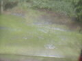 Image file: photo05.jpg