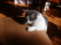 Image file: photo02.jpg
