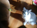 Image file: photo03.jpg