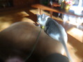 Image file: photo04.jpg