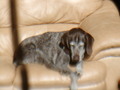 Image file: photo06.jpg