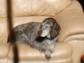 Image file: photo07.jpg