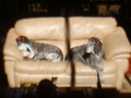 Image file: photo09.jpg