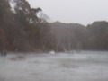 Image file: _1/photo11.jpg