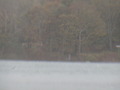 Image file: _2/photo22.jpg