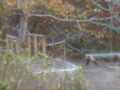 Image file: _2/photo25.jpg