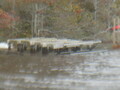 Image file: _2/photo26.jpg